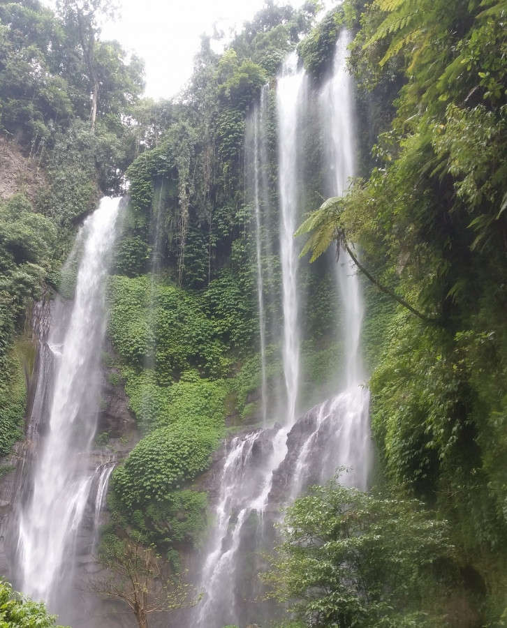 Sekumpul Jungle Trekking Tour