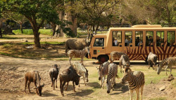 Bali Safari and Marine Park and Goa Lawah Temple Tour