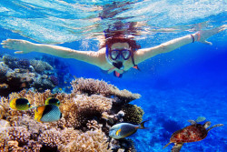 BALI WEST TOUR