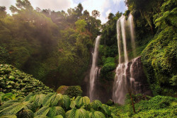 BALI NORTH TOUR