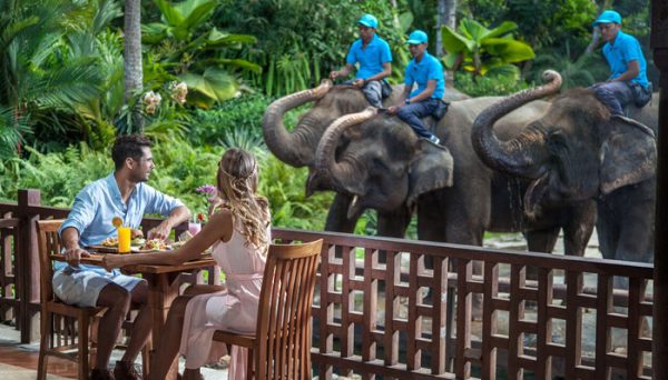 Bali Zoo Packages - Love, Explore & Chill