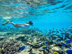 West Nusa Penida Tour Package