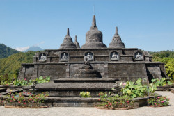 Standard Post with Image