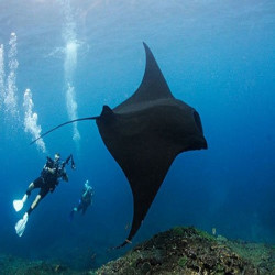 Paket Tour pulau dan Snorkeling 1hari 1 malam