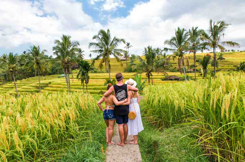 Ubud Half Day Vacation
