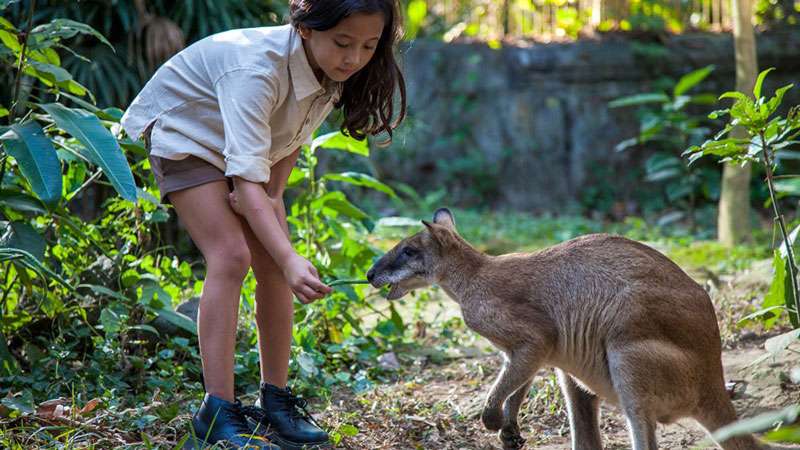 Bali Zoo