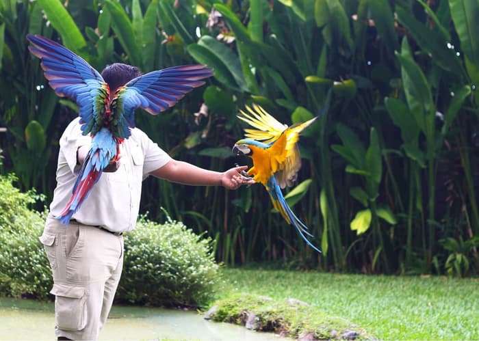 Bali Bird Park