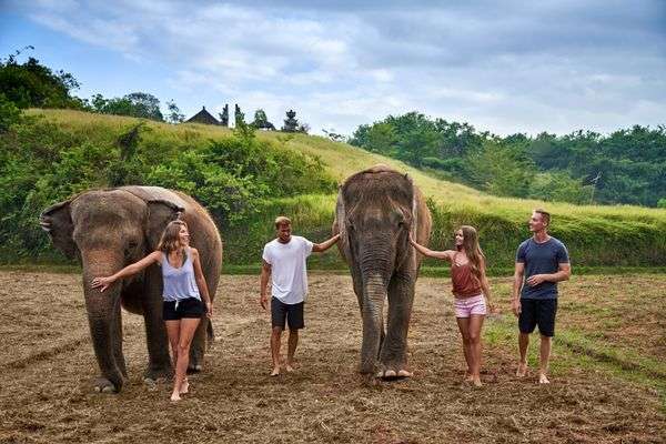 Bali Zoo