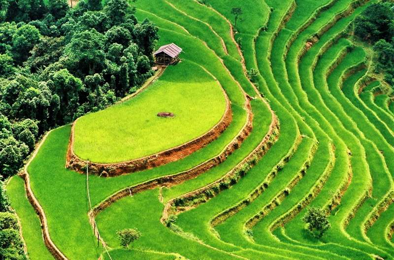 Jatiluwih Heritage Tour