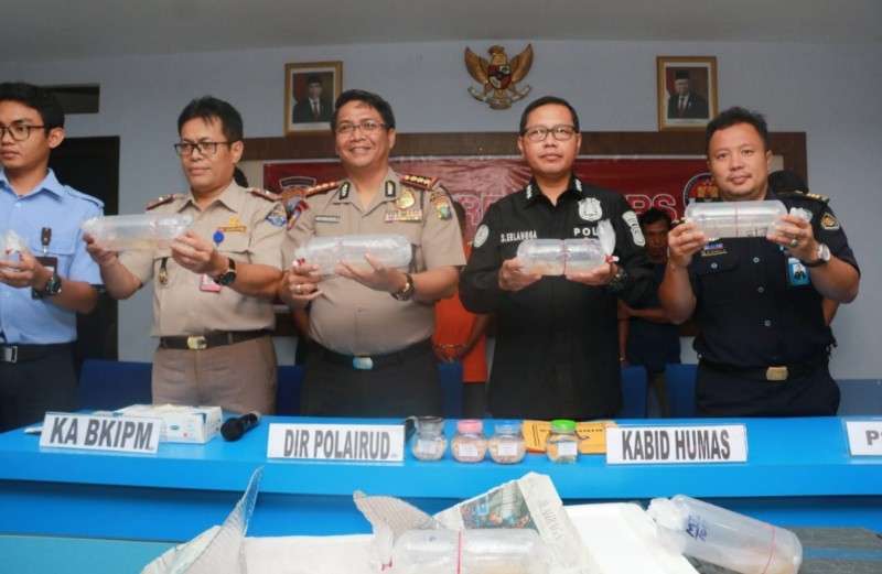 Ditpolair Polda Kepri Berhasil Gagalkan Penyeludupan Benih Lobster Senilai 33 Miliar