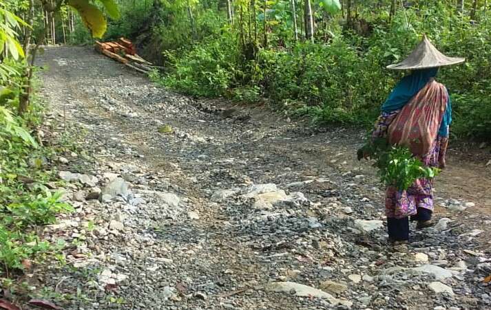 Jalan Penghubung Antar Dua Desa di Kecamatan Bayah Rusak Parah