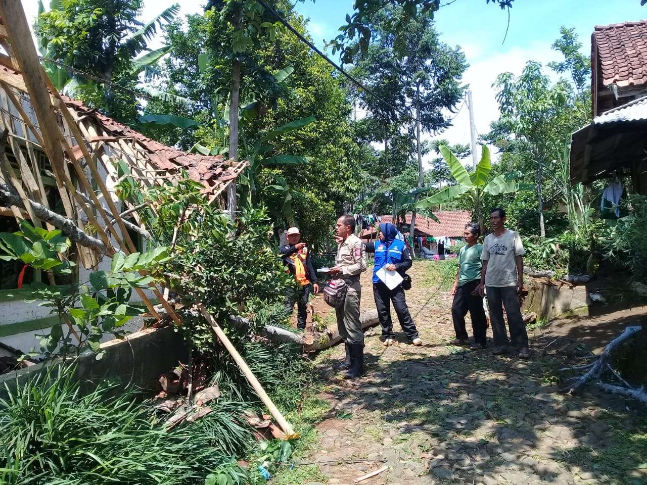 Rumah Warga Kp.Kaladi Desa Tugu Bandung Rusak Tertimpa Pohon