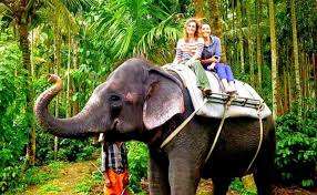 Elephant Ride