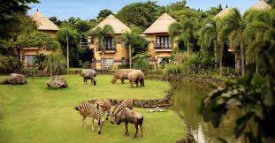 Bali Safari & Marine Park