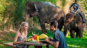 Bali Zoo