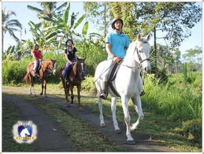 Ubud Horse Riding