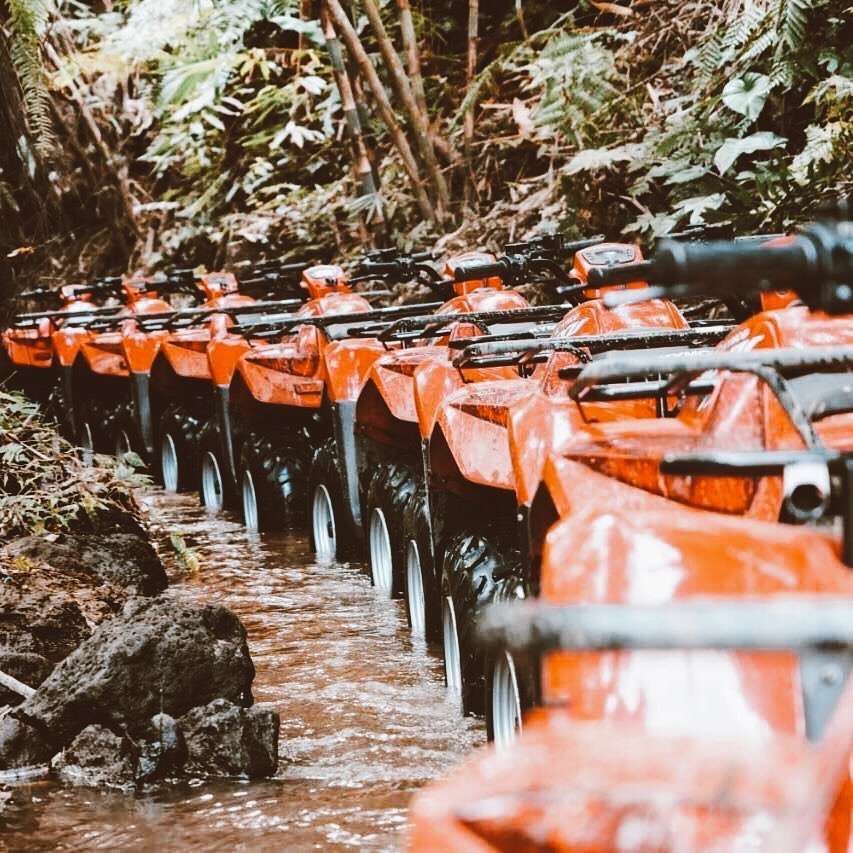 ATV QUAD JUNGLE TRIP Love, Explore & Chill