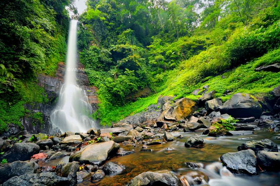 Gitgit Waterfall Tour