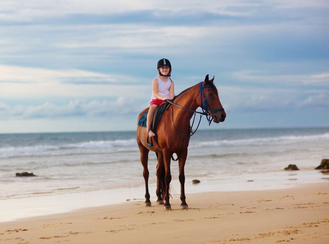 Riding Horse Padi Bali Experience